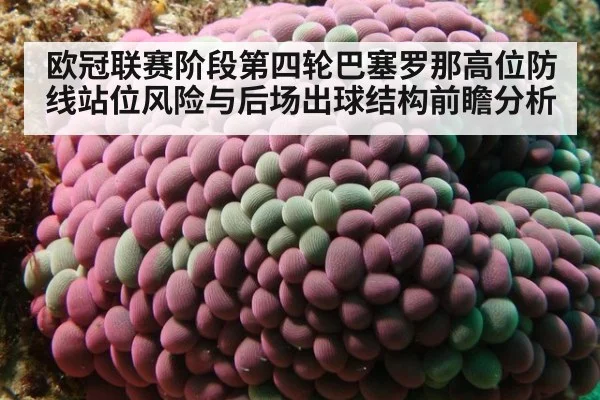欧冠联赛阶段第四轮巴塞罗那高位防线站位风险与后场出球结构前瞻分析